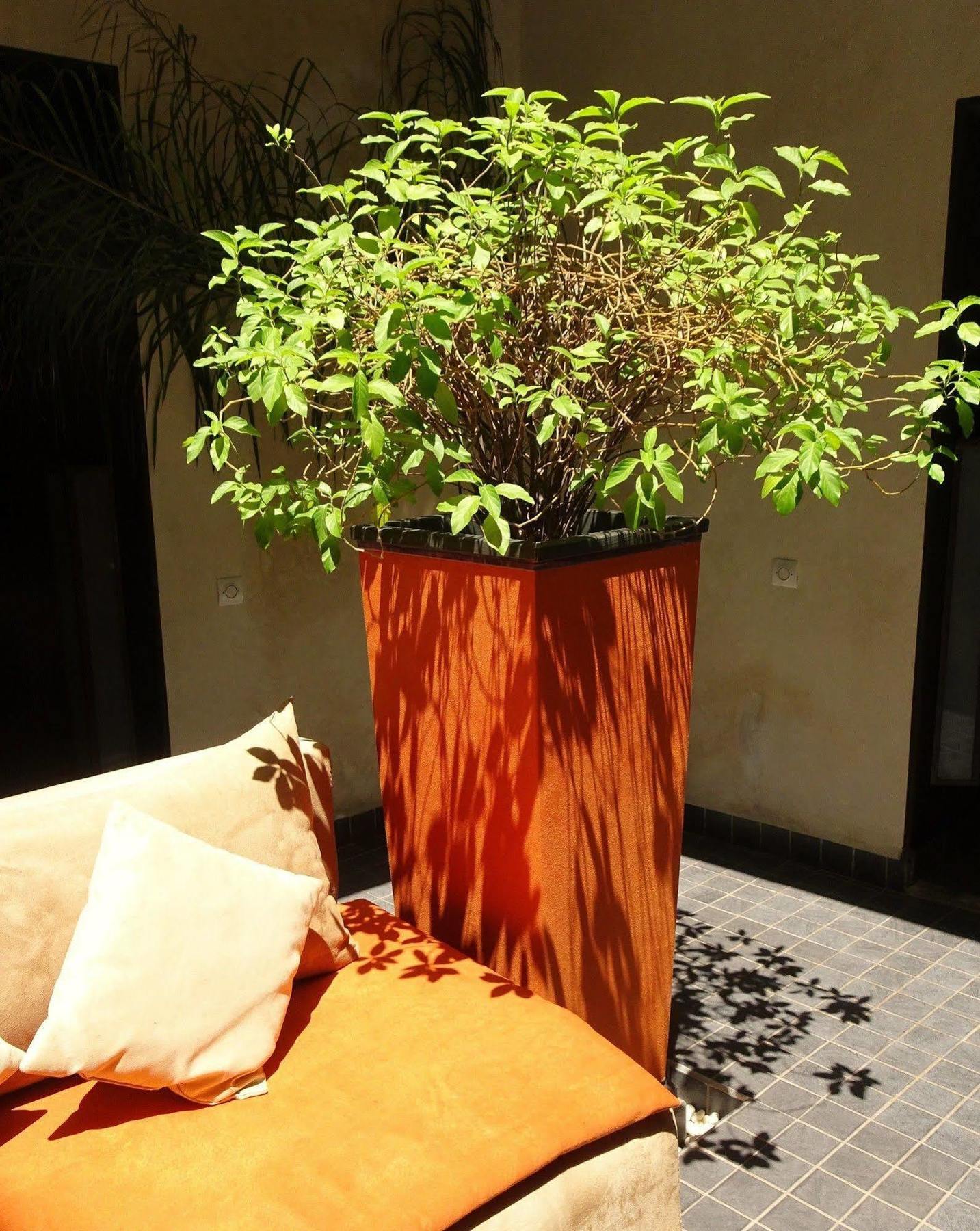 Riad Pierres Et Saveurs Soleil Marrakesh Buitenkant foto