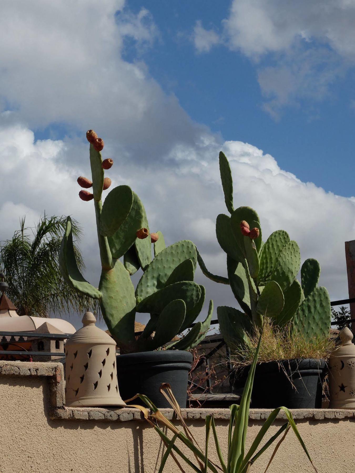 Riad Pierres Et Saveurs Soleil Marrakesh Buitenkant foto
